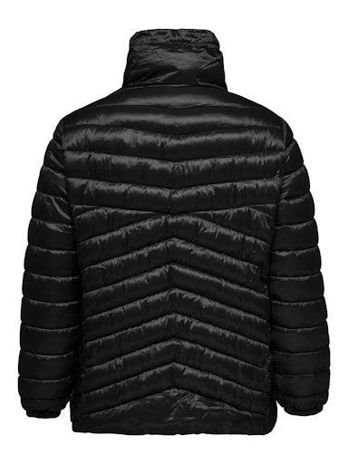 CARVEGA 15337244 Zwart