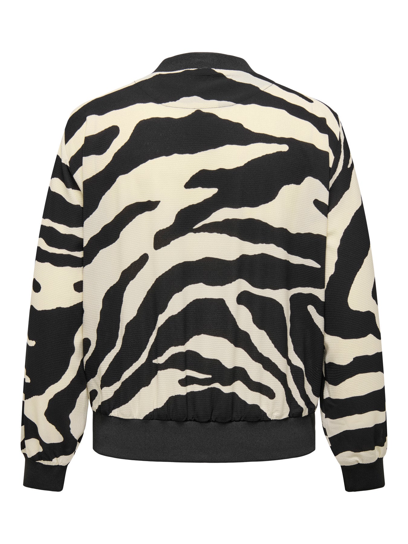 OnlyCarmakomabomberjack15326263Zebra__6