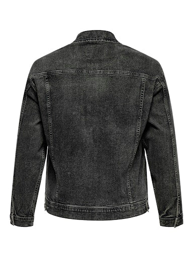 Only Carmakoma oversized denim jack 15361912 CARKONA Washed black