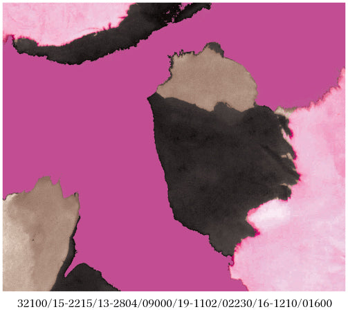 Zhenzitopjemetprintallover201359HollyRoze__3