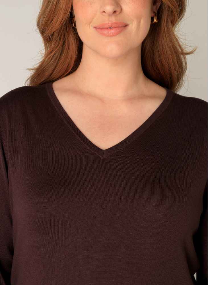 Base Level Curvy fijngebreide trui met V-hals 7000024 Anine  bruin