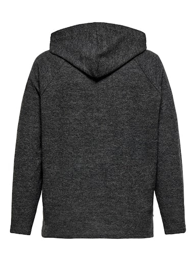 Only Carmakoma trui met capuchon 15364259 CARBIZZY  Grey