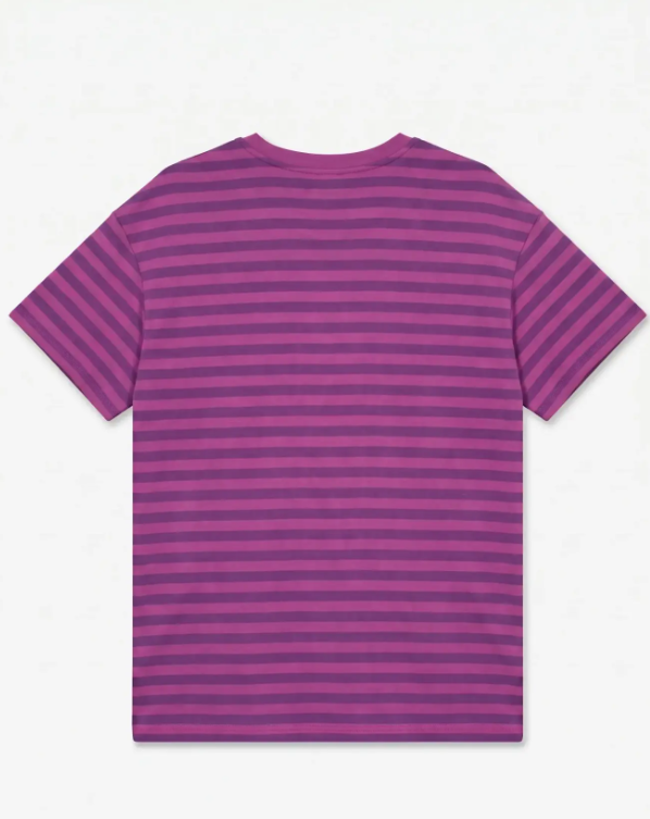 VeroModaCurvegestreeptshirt10360865VMCAMILIARoze__3