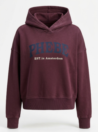 Phebe trui met capuchon Ari Bordeaux